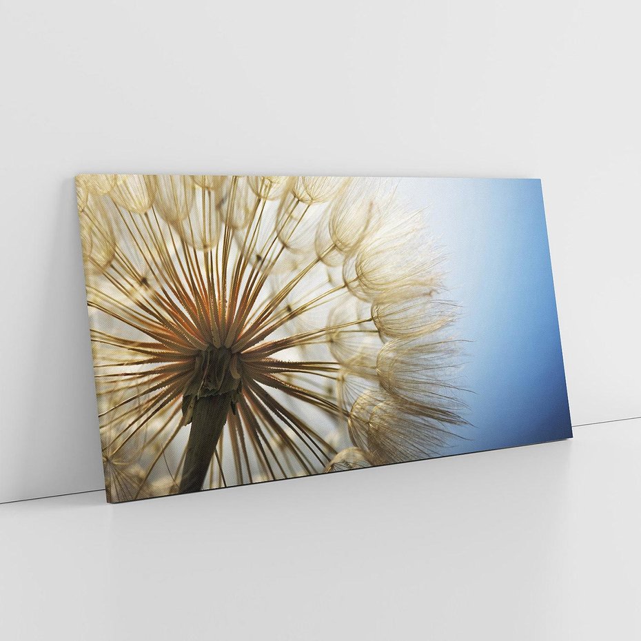 Obraz na płótnie 120x60 - Delikatny dmuchawiec w pełnym rozkwicie - dmuchawiec, kwiat