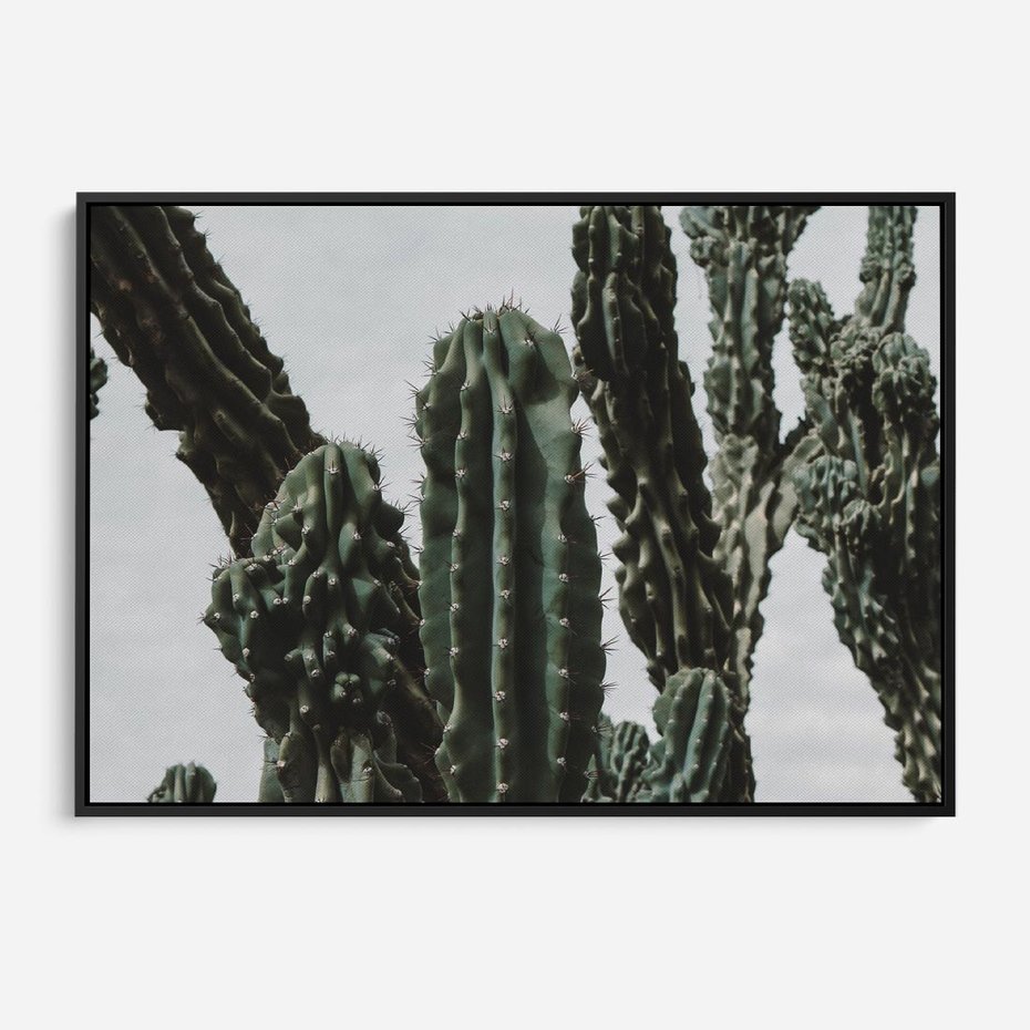 Obraz w ramie 100x70 - Boho oaza wśród kaktusów - kaktusy, pustynia - rama czarna