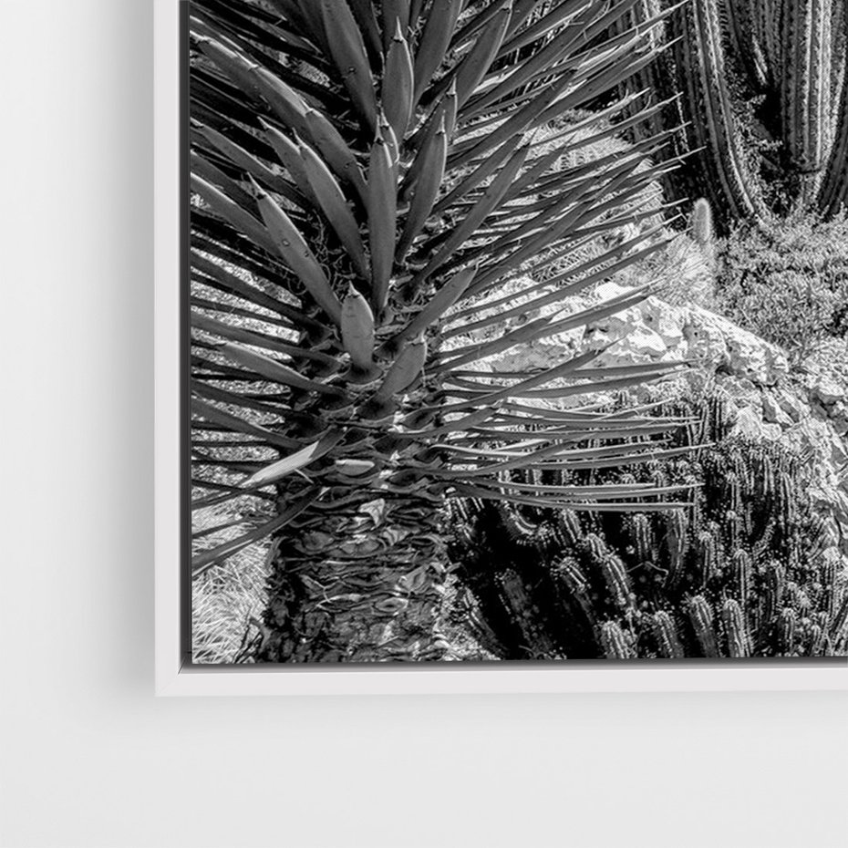 Obraz w ramie 80x120 - Pustynny Klimat - czarno białe zdjecie, pustynia - rama biała