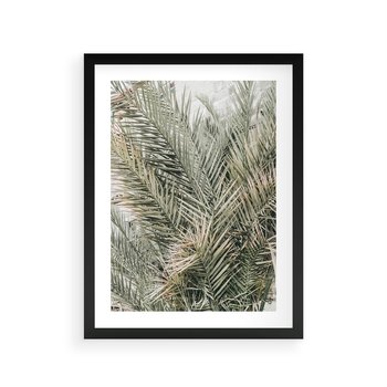 Plakat w ramie 50x70 - Egzotyczny Świat Palm - palmy, liście palmy - rama czarna