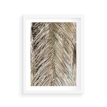 Plakat w ramie 40x50 - Boho Urok Palmy: Zbliżenie Natury - sucha palma, zbliżenie - rama biała