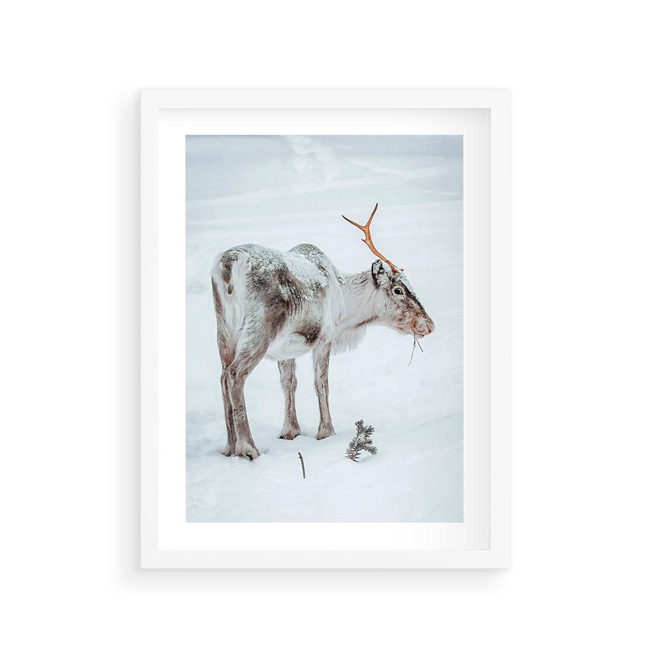 Plakat w ramie 30x40 - Magia Świąt - renifer na śniegu, śnieg - rama biała