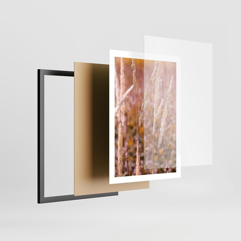 Plakat w ramie 50x70 - Sucha Trawa w Sierpniu - trawy, łąka - rama czarna