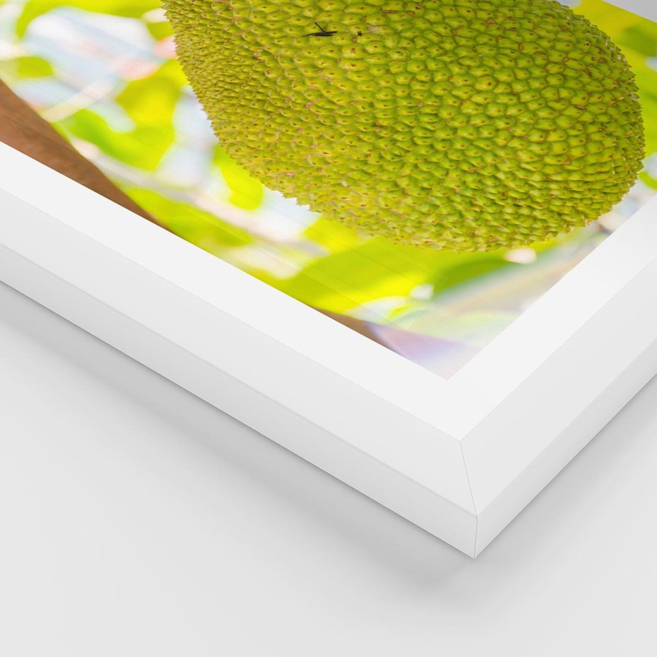 Plakat w ramie 40x50 - Tropikalny raj nad morzem - tropikalny, owoc - rama biała