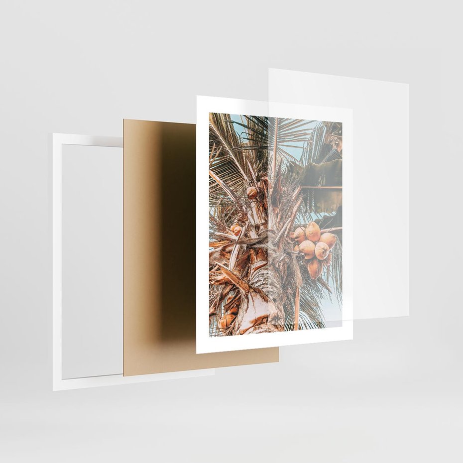 Plakat w ramie 40x50 - Tropikalna Palma: Fotografia z Kokosami - palma kokosowa, kokosy - rama biała