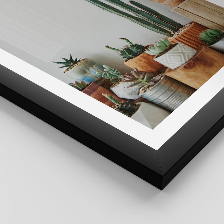 Plakat w ramie 30x40 - Naturalna Harmonia - kaktusy, liście - rama czarna