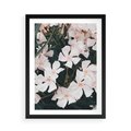 Plakat w ramie 50x70 - Egzotyczna Uroda - białe kwiaty, tropikalne kwiaty - rama czarna