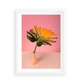 Plakat w ramie 50x70 - Egzotyczna monstera - monstera, liść - rama biała