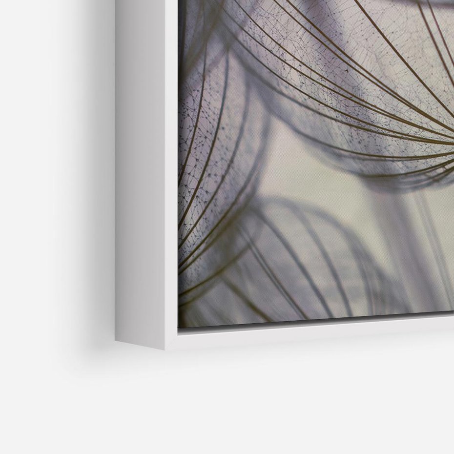 Obraz w ramie 120x80 - Makro dmuchawiec - piękno drobnych detali - dmuchawce, makro - rama biała