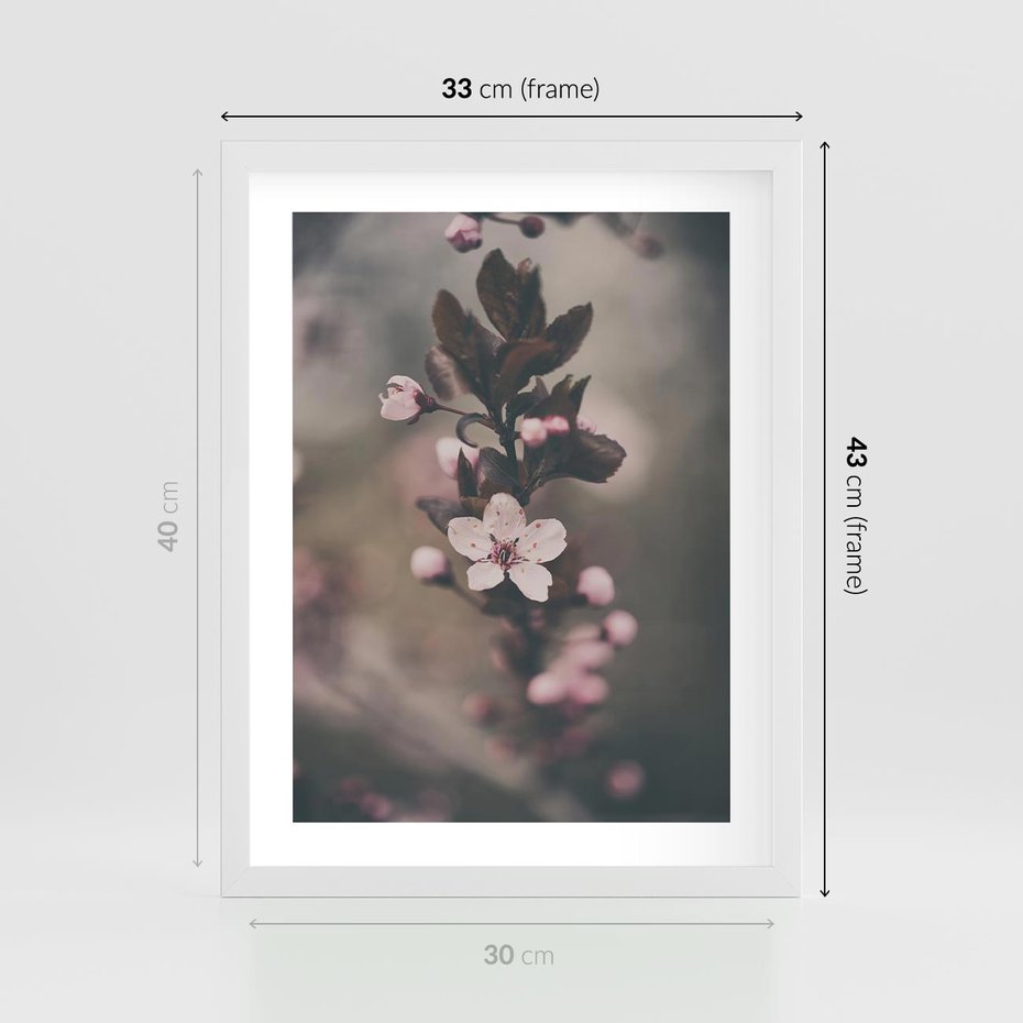 Plakat w ramie 30x40 - Przemijający Urok - kwitnąca, wiśnia - rama biała