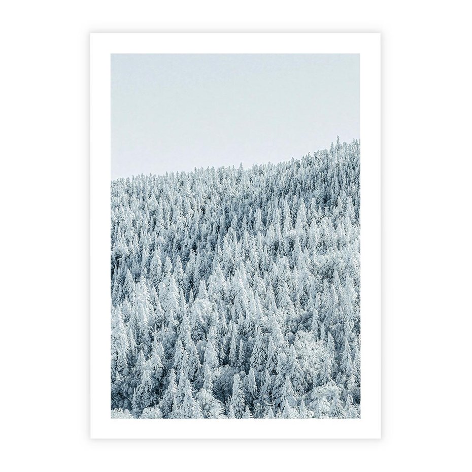 Plakat bez ramy 50x70 - Cicha Zima - las, zima