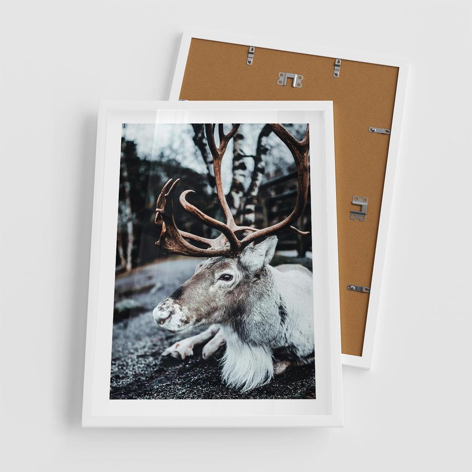 Plakat w ramie 50x70 - W Zimowej Krainie - renifer, zima - rama biała