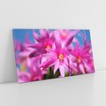 Obraz na płótnie 120x60 - Kwiatowy urok - kwiat, kwiaty