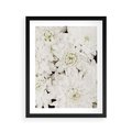 Plakat w ramie 40x50 - Białe Kwiaty: Płatki Delikatności - białe kwiaty, zbliżenie - rama czarna