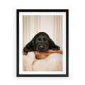 Plakat w ramie 50x70 - Uroczy szczeniak w akcji - piesek, szczeniak - rama czarna