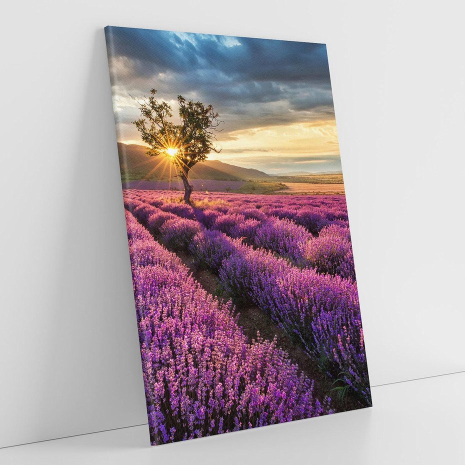 Obraz na płótnie 70x100 - Lawenda: Pachnący ogród natury - lawenda, kwiaty