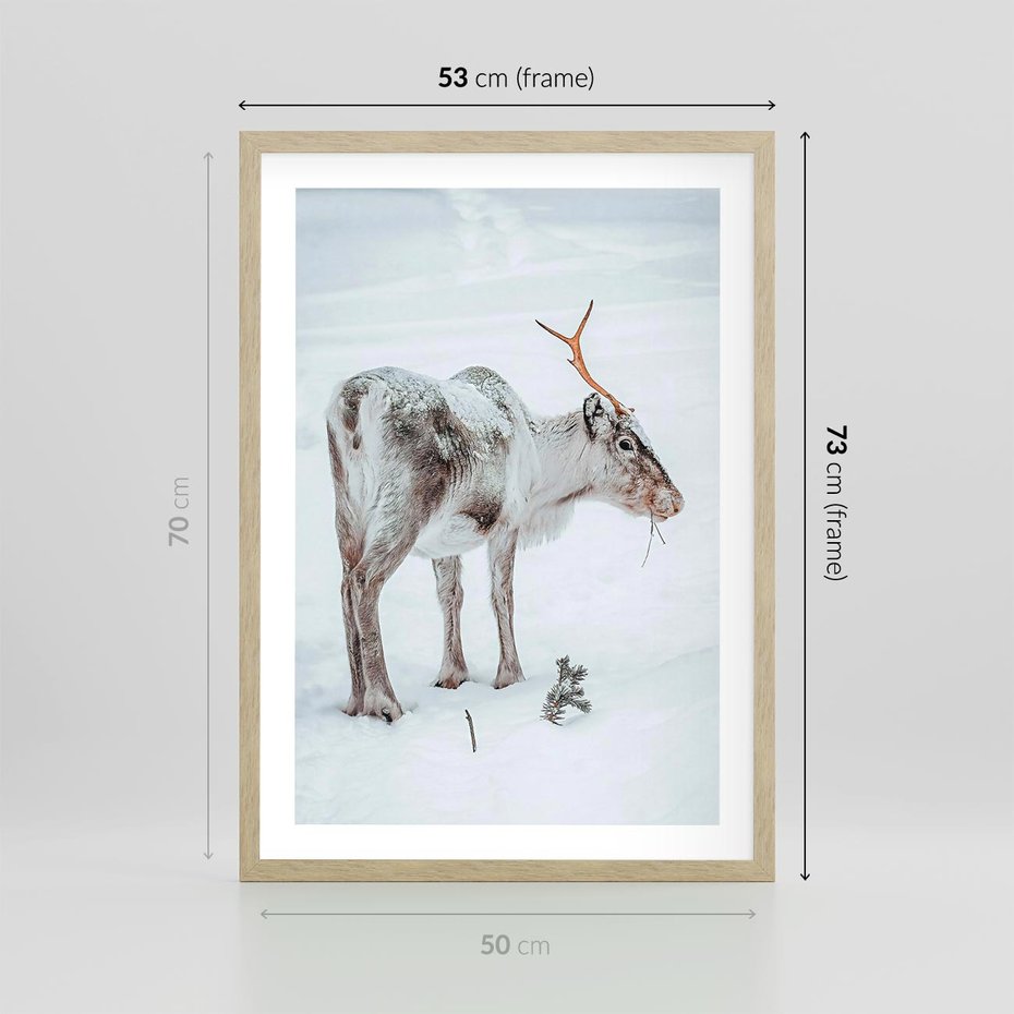 Plakat w ramie 50x70 - Magia Świąt - renifer na śniegu, śnieg - rama drewno