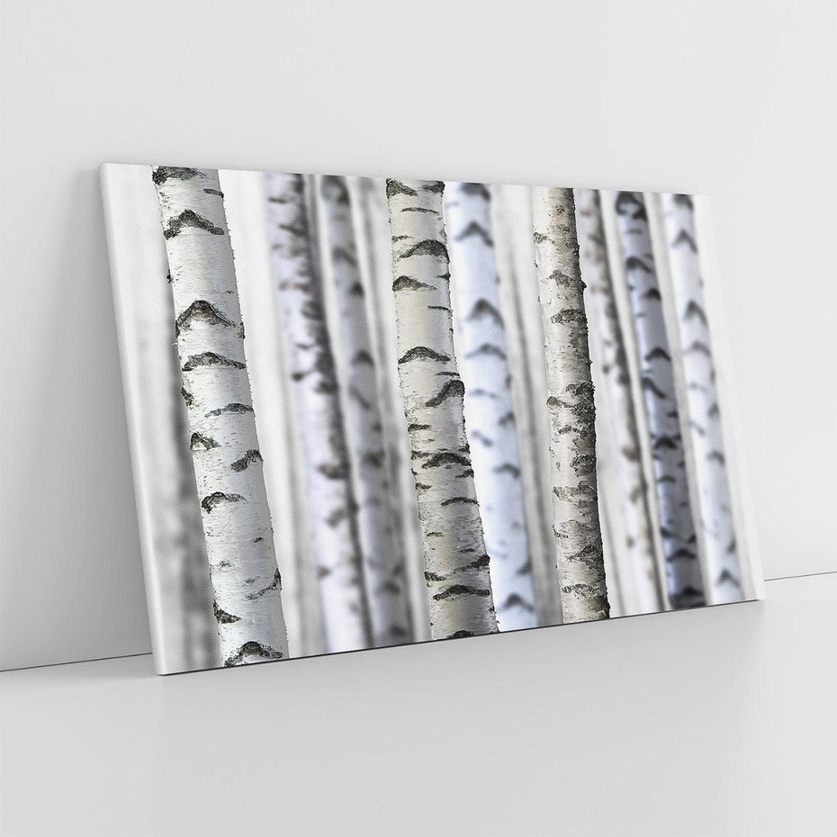 Obraz na płótnie 100x70 - Delikatność brzóz - brzozy, las