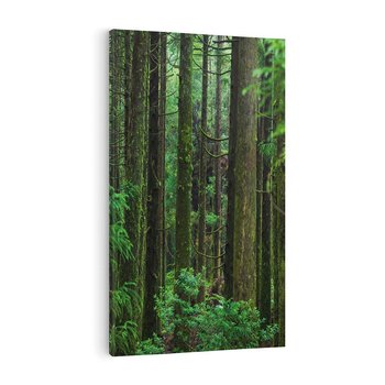 Obraz na płótnie 80x120 - Mistyka leśnej głuszy - las, drzewa