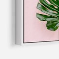 Obraz w ramie 80x80 - Egzotyczna Roślinność - liście, monstera - rama biała