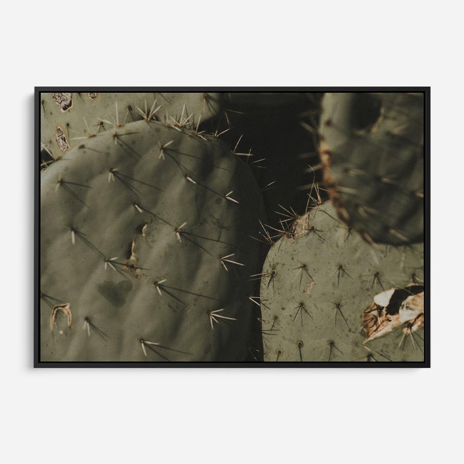 Obraz w ramie 100x70 - Urok Egzotyki - kaktusy, boho - rama czarna