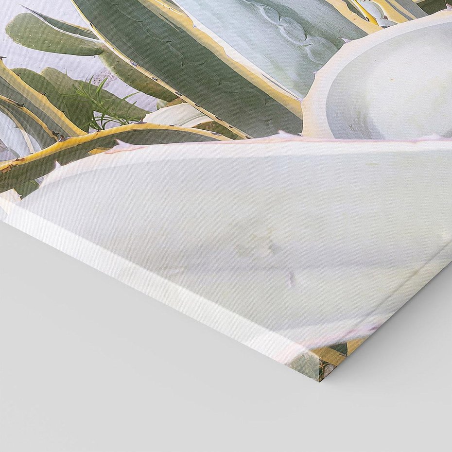 Obraz na płótnie 70x100 - Sukulentowe liście - liście, sukulenty