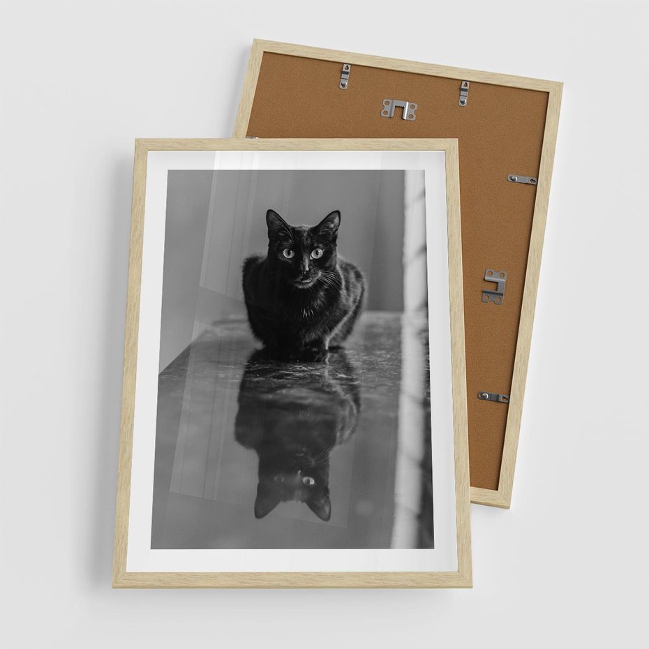 Plakat w ramie 50x70 - Kocie Oczy - kot, czarno białe zdjęcie - rama drewno