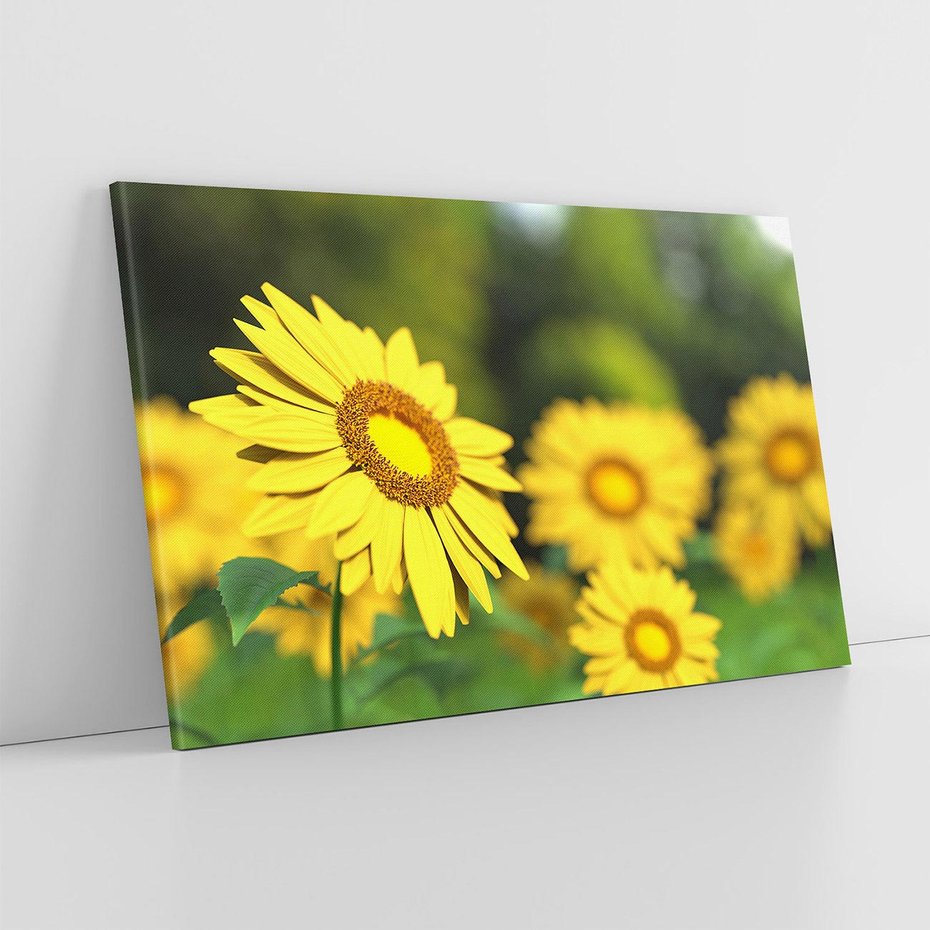 Obraz na płótnie 100x70 - Kwiatowa łąka - kwiaty, łąka