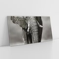 Obraz na płótnie 140x70 - Majestatyczny słoń Afryki - słoń, Afryka