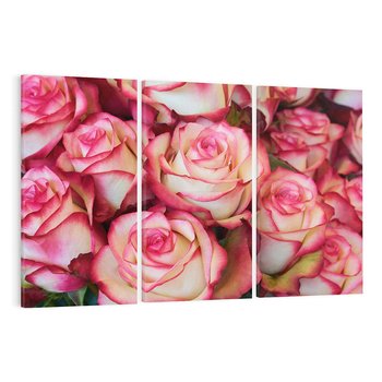 Obraz na płótnie 120x80 - Różany urok - kwiaty, róże