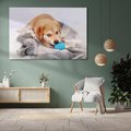 Obraz na płótnie 70x50 - Radość w zabawie: Piesek jako najlepszy przyjaciel - pies, piesek