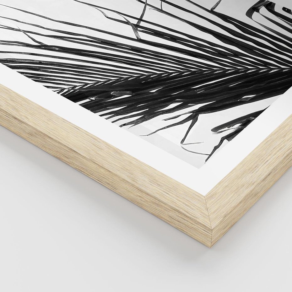 Plakat w ramie 50x70 - Sztuka Natury: Monochromatyczna Palma - palma, czarno białe zdjęcie - rama drewno