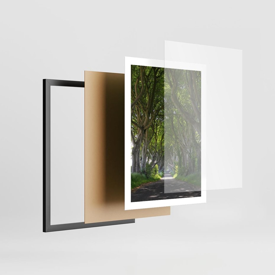 Plakat w ramie 50x70 - Magiczny Las - drzewa, las - rama czarna