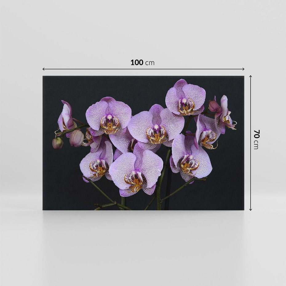 Obraz na płótnie 100x70 - Kwiatowy zachwyt pełen kolorów - kwiat, kwiaty