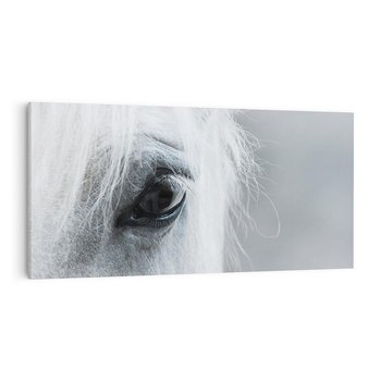 Obraz na płótnie 100x50 - Oko Mocy - czarno białe zdjęcie, zbliżenie makro na oko konia