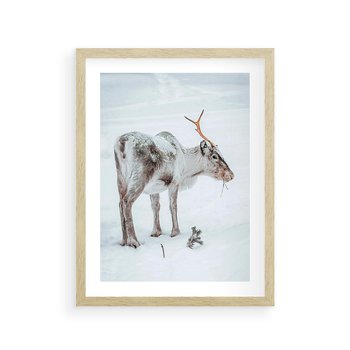 Plakat w ramie 40x50 - Magia Świąt - renifer na śniegu, śnieg - rama drewno