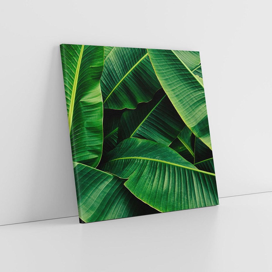 Obraz na płótnie 30x30 - Zaklęta roślinna ekspresja - liście bananowca, gęsto ułożone