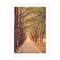 Plakat bez ramy 40x50 - Wędrówka między drzewami - droga, drzewa