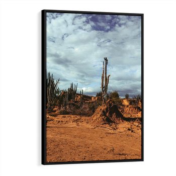 Obraz w ramie 70x100 - Skarby Pustynnego Kanionu - pustynia, kaktusy - rama czarna