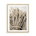 Plakat w ramie 50x70 - Letni Plon - zboże, kłosy zboża - rama drewno