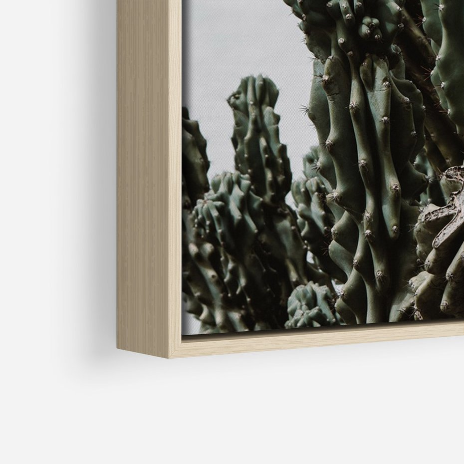Obraz w ramie 70x100 - Boho oaza wśród kaktusów - kaktusy, pustynia - rama drewno