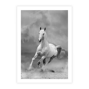 Plakat bez ramy 30x40 - Elegancja w Czarno-Białym - koń, biało