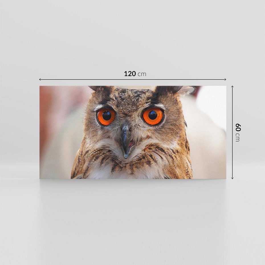 Obraz na płótnie 120x60 - Mądra sowa w locie - sowa, ptak