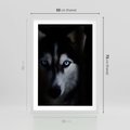 Plakat w ramie 50x70 - Wilk i husky: siła przyjaźni - wilk, husky - rama biała
