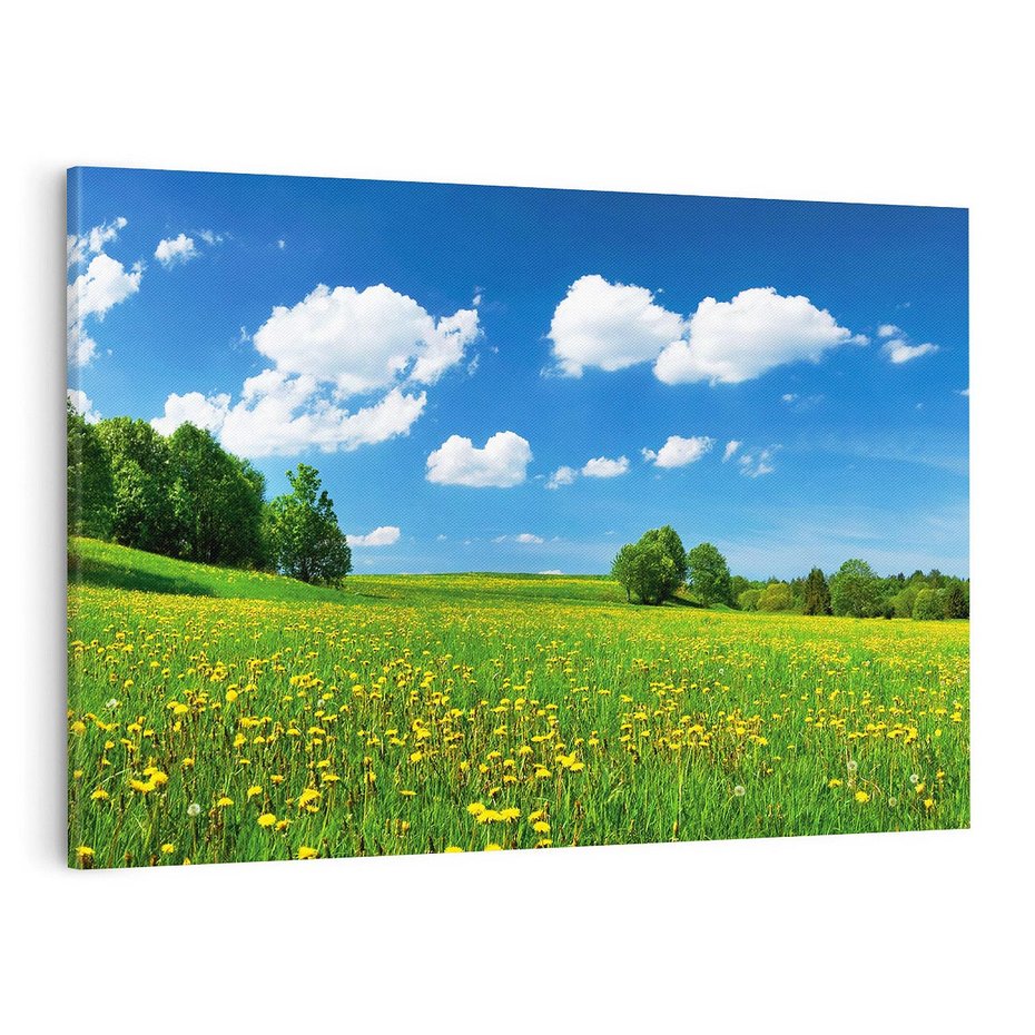 Obraz na płótnie 120x80 - Polana wśród drzew: Spokój i harmonia - polana, łąka