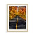 Plakat w ramie 50x70 - Droga przez jesienny las - droga, las - rama drewno