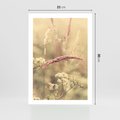 Plakat bez ramy 21x30 - Boho Wizja - suszone, trawy