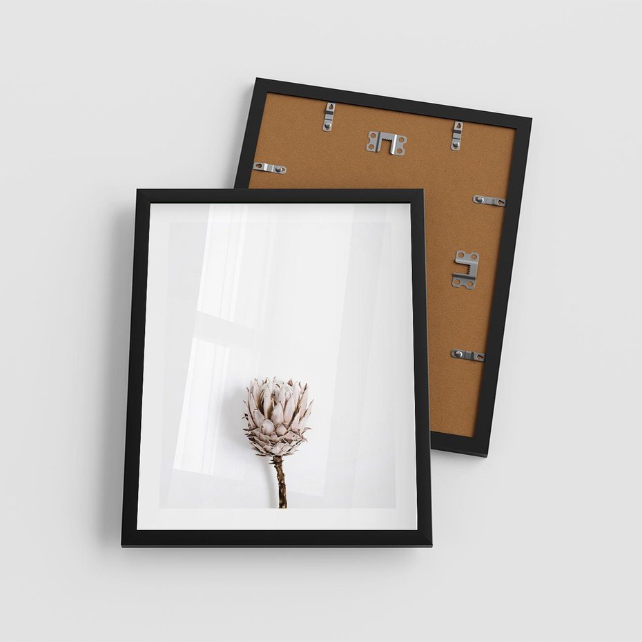 Plakat w ramie 40x50 - Suszona Roślina na Białym Tle - minimalizm, suszona roślina - rama czarna