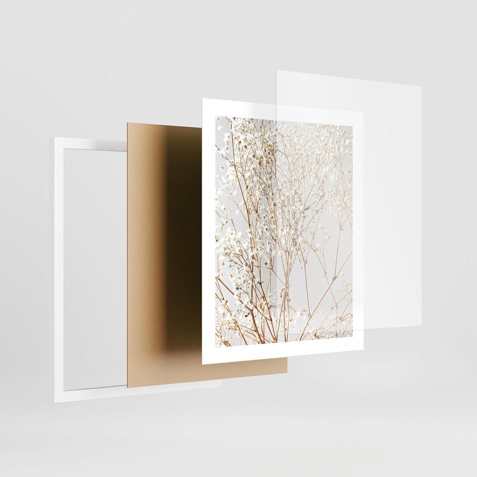 Plakat w ramie 40x50 - Minimalistyczna Delikatność - białe kwiaty, gipsówka - rama biała