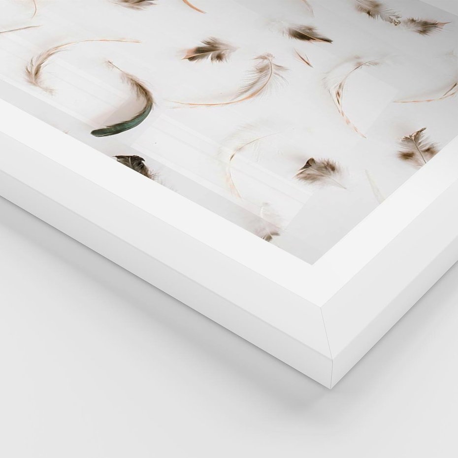 Plakat w ramie 40x50 - Kompozycja z Piór - pióra, kompozycja - rama biała